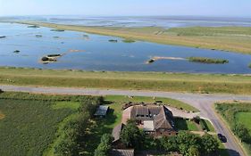 Deichhus Nordseeliebe direkt am Deich - Nordsee - Dagebüll - Am Vogelreservat